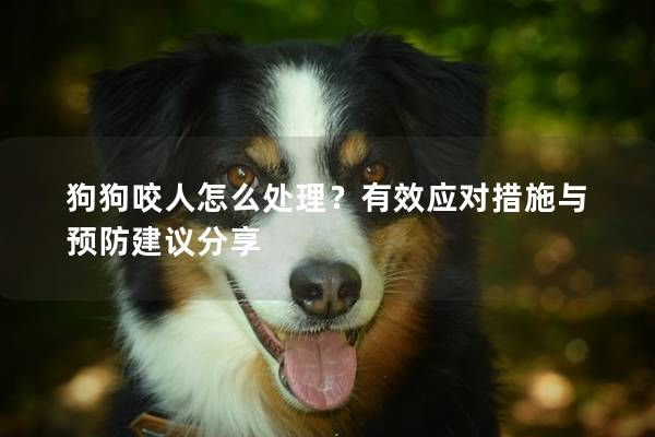 狗狗咬人怎么處理？有效應(yīng)對措施與預(yù)防建議分享