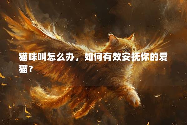 貓咪叫怎么辦，如何有效安撫你的愛貓？