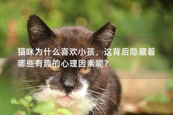 貓咪為什么喜歡小孩，這背后隱藏著哪些有趣的心理因素呢？