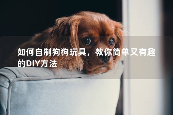 如何自制狗狗玩具，教你簡單又有趣的DIY方法
