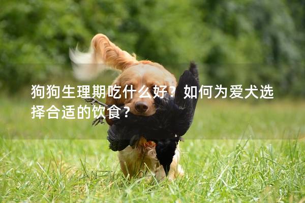 狗狗生理期吃什么好？如何為愛犬選擇合適的飲食？