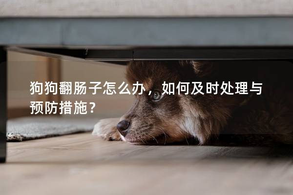 狗狗翻腸子怎么辦，如何及時(shí)處理與預(yù)防措施？