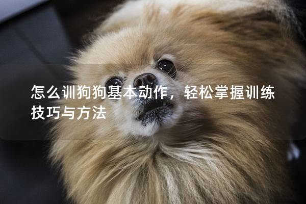 怎么訓狗狗基本動作，輕松掌握訓練技巧與方法