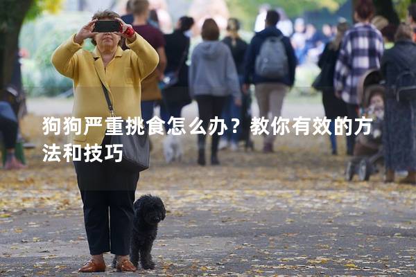 狗狗嚴重挑食怎么辦？教你有效的方法和技巧