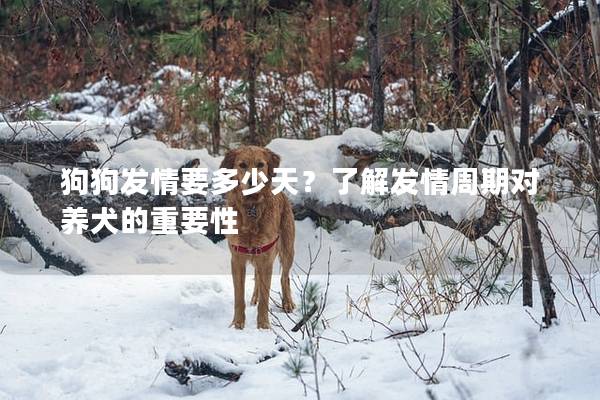狗狗發情要多少天？了解發情周期對養犬的重要性