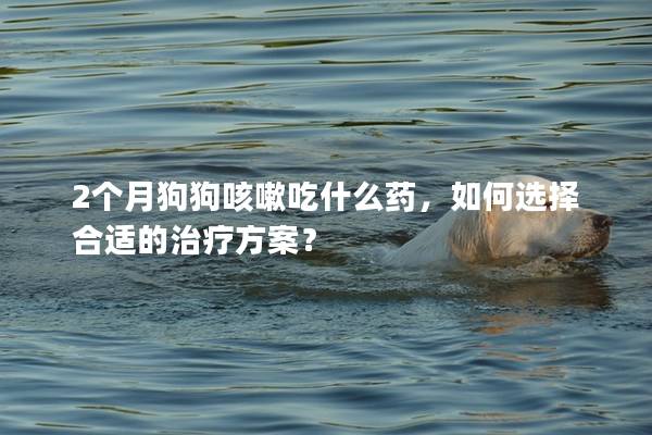 2個月狗狗咳嗽吃什么藥，如何選擇合適的治療方案？