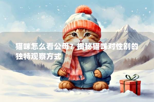 貓咪怎么看公母？揭秘貓咪對性別的獨特觀察方式