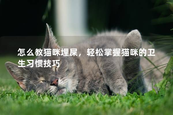 怎么教貓咪埋屎，輕松掌握貓咪的衛(wèi)生習慣技巧