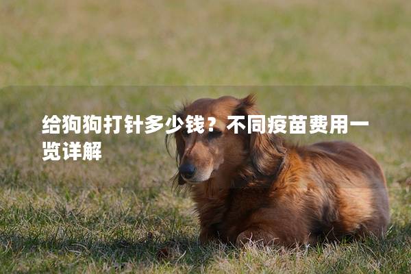 給狗狗打針多少錢？不同疫苗費(fèi)用一覽詳解