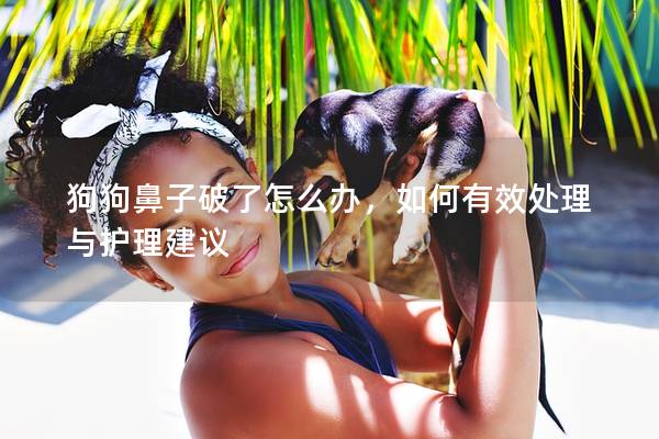 狗狗鼻子破了怎么辦,如何有效處理與護理建議