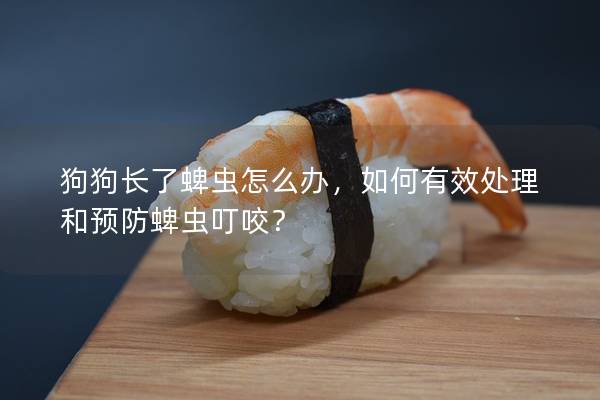 狗狗長了蜱蟲怎么辦，如何有效處理和預防蜱蟲叮咬？