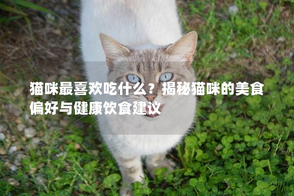 貓咪最喜歡吃什么?揭秘貓咪的美食偏好與健康飲食建議 貓咪最喜歡吃什么?揭秘貓咪的美食偏好與健康飲食建議