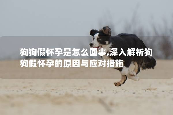 狗狗假懷孕是怎么回事,深入解析狗狗假懷孕的原因與應對措施 狗狗假懷孕是怎么回事,深入解析狗狗假懷孕的原因與應對措施
