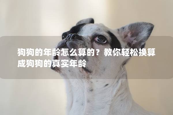 狗狗的年齡怎么算的？教你輕松換算成狗狗的真實(shí)年齡