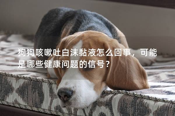 狗狗咳嗽吐白沫黏液怎么回事，可能是哪些健康問(wèn)題的信號(hào)？