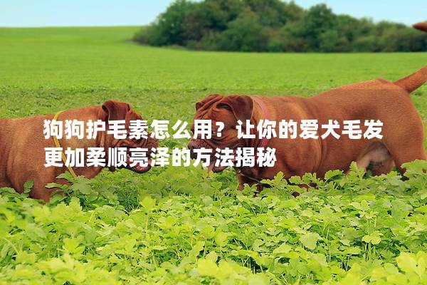狗狗護(hù)毛素怎么用?讓你的愛犬毛發(fā)更加柔順亮澤的方法揭秘 狗狗護(hù)毛素怎么用?讓你的愛犬毛發(fā)更加柔順亮澤的方法揭秘