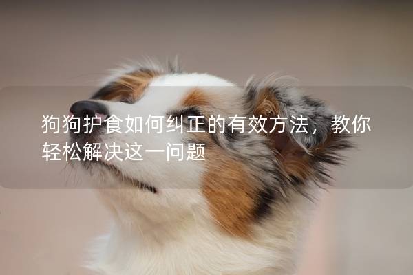 狗狗護食如何糾正的有效方法，教你輕松解決這一問題
