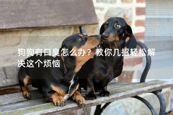狗狗有口臭怎么辦？教你幾招輕松解決這個煩惱