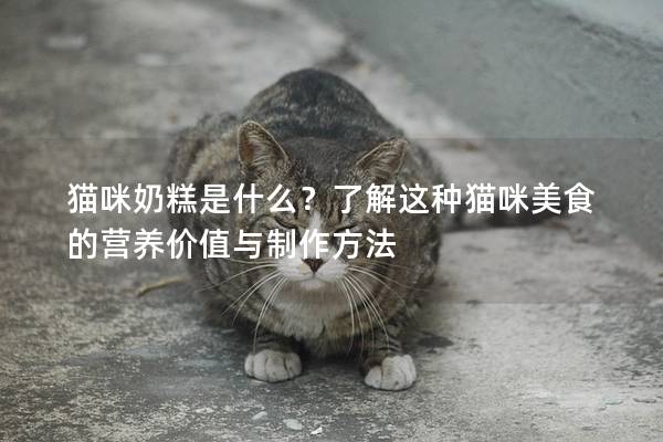 貓咪奶糕是什么？了解這種貓咪美食的營養價值與制作方法