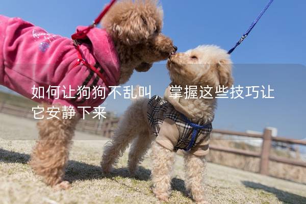 如何讓狗狗不亂叫，掌握這些技巧讓它安靜下來