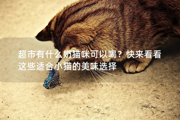 超市有什么奶貓咪可以喝?快來(lái)看看這些適合小貓的美味選擇 超市有什么奶貓咪可以喝?快來(lái)看看這些適合小貓的美味選擇