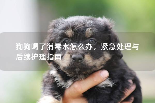 狗狗喝了消毒水怎么辦，緊急處理與后續(xù)護理指南