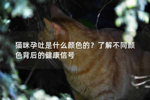 貓咪孕吐是什么顏色的？了解不同顏色背后的健康信號