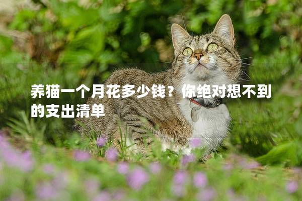 養(yǎng)貓一個(gè)月花多少錢？你絕對(duì)想不到的支出清單