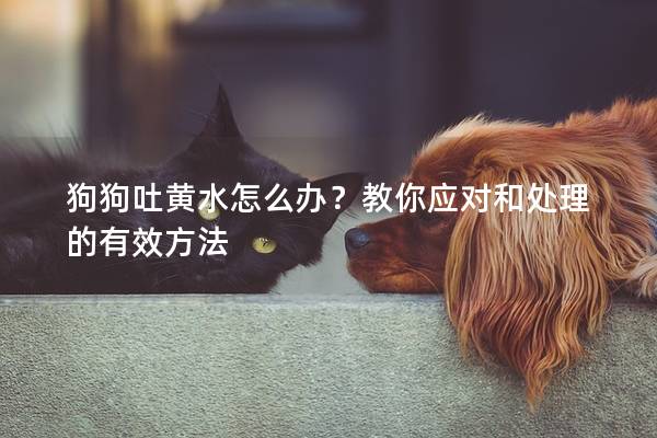 狗狗吐黃水怎么辦？教你應對和處理的有效方法