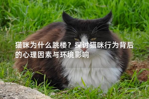 貓咪為什么跳樓？探討貓咪行為背后的心理因素與環(huán)境影響