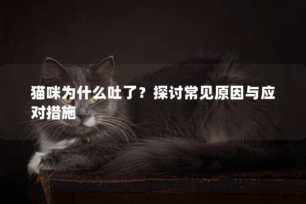 貓咪為什么吐了？探討常見原因與應(yīng)對措施