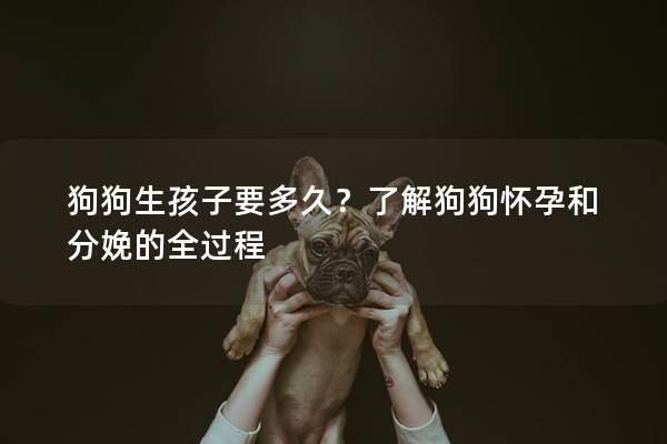 狗狗生孩子要多久？了解狗狗懷孕和分娩的全過(guò)程