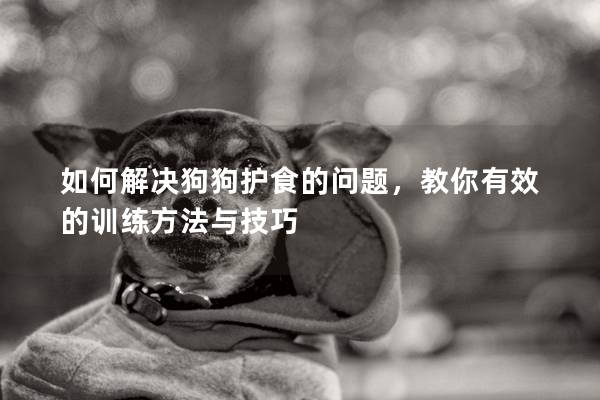如何解決狗狗護食的問題，教你有效的訓練方法與技巧