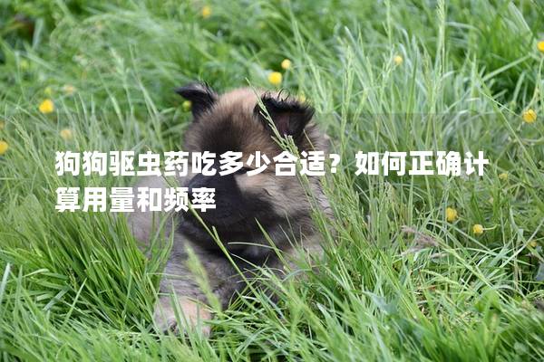狗狗驅蟲藥吃多少合適？如何正確計算用量和頻率