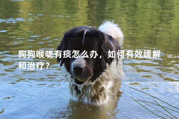 狗狗喉嚨有痰怎么辦，如何有效緩解和治療？