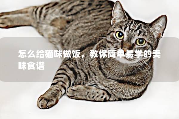 怎么給貓咪做飯，教你簡單易學的美味食譜
