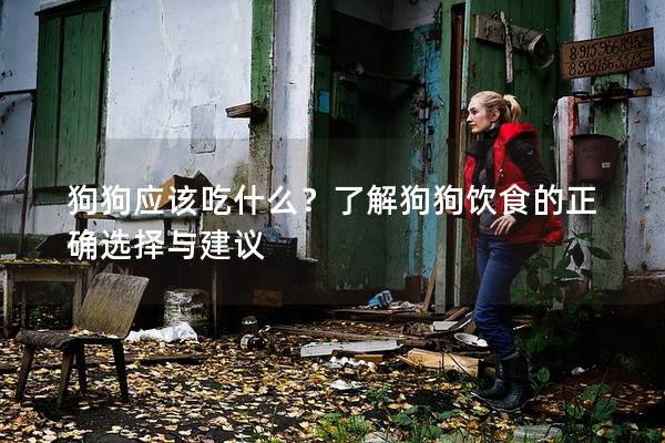 狗狗應(yīng)該吃什么？了解狗狗飲食的正確選擇與建議