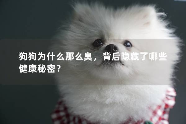 狗狗為什么那么臭，背后隱藏了哪些健康秘密？