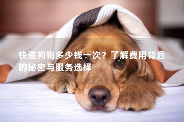 快遞狗狗多少錢一次？了解費(fèi)用背后的秘密與服務(wù)選擇