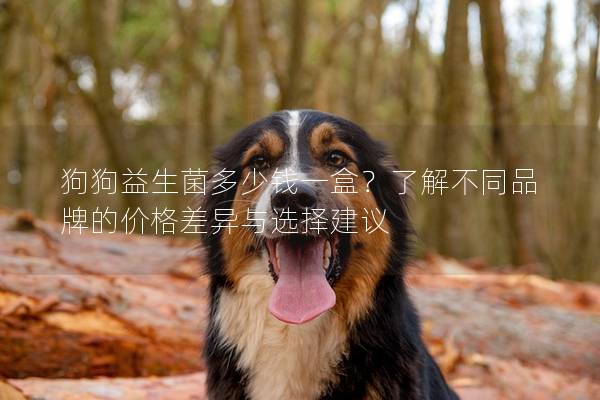 狗狗益生菌多少錢一盒？了解不同品牌的價格差異與選擇建議