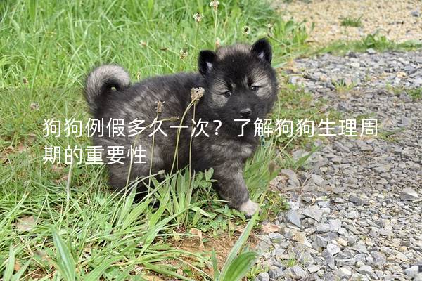 狗狗例假多久一次？了解狗狗生理周期的重要性