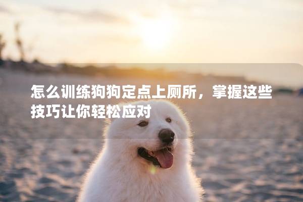 怎么訓練狗狗定點上廁所，掌握這些技巧讓你輕松應對