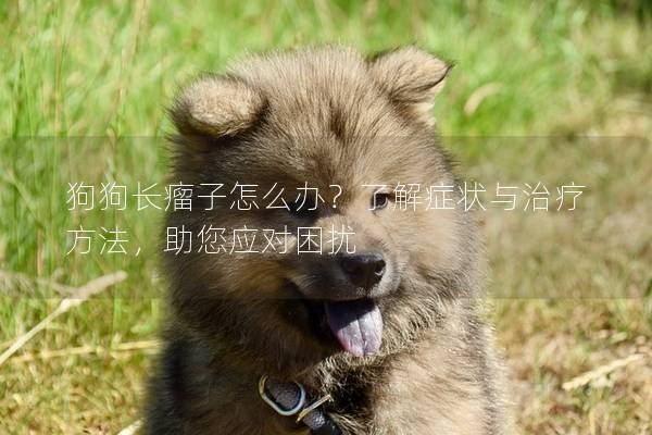 狗狗長瘤子怎么辦？了解癥狀與治療方法，助您應對困擾