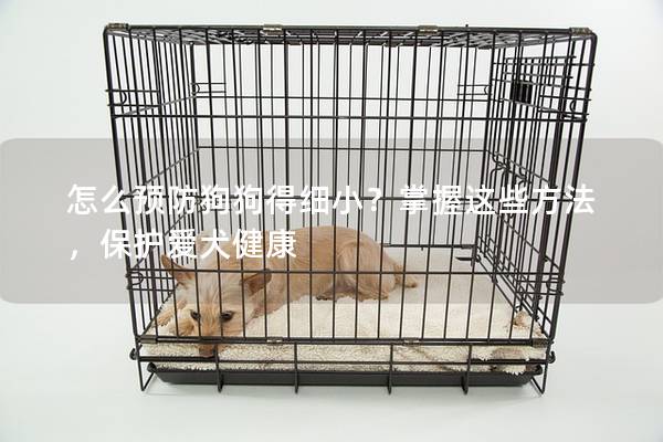怎么預(yù)防狗狗得細(xì)小？掌握這些方法，保護愛犬健康
