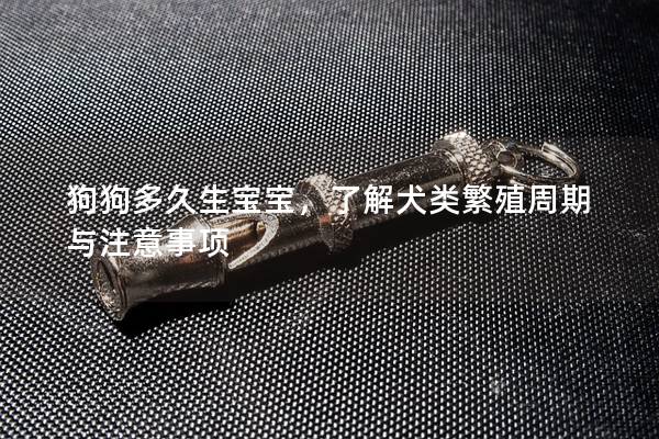 狗狗多久生寶寶，了解犬類繁殖周期與注意事項