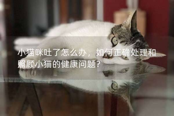 小貓咪吐了怎么辦，如何正確處理和照顧小貓的健康問題？