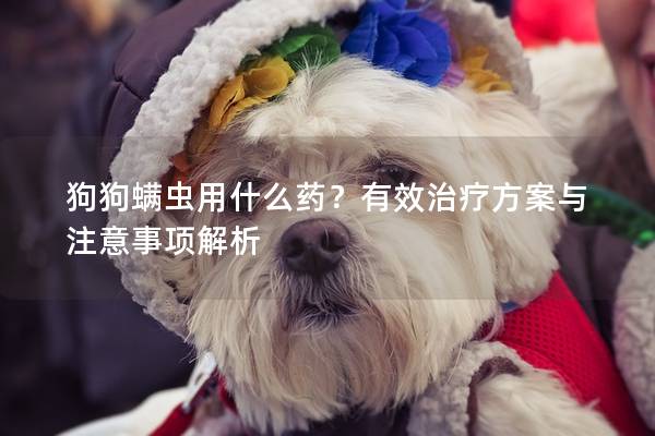 狗狗螨蟲用什么藥？有效治療方案與注意事項解析
