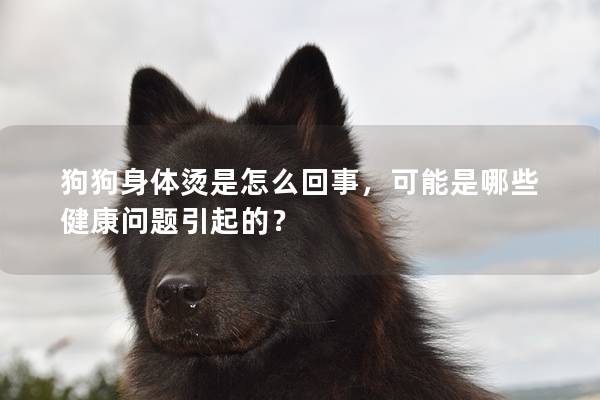 狗狗身體燙是怎么回事，可能是哪些健康問題引起的？