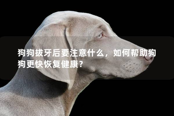 狗狗拔牙后要注意什么，如何幫助狗狗更快恢復健康？