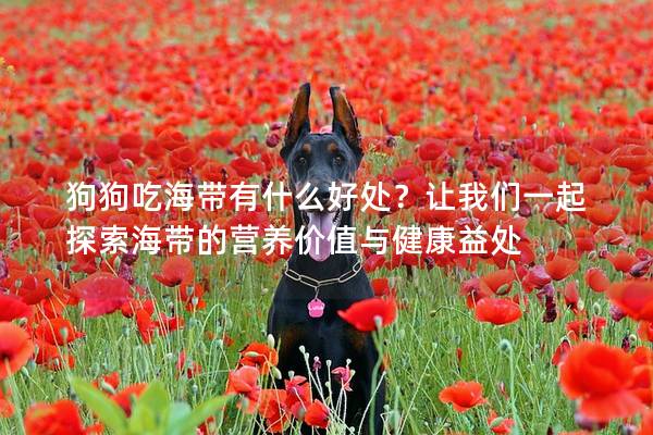 狗狗吃海帶有什么好處？讓我們一起探索海帶的營養(yǎng)價值與健康益處